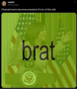 brat and kamala harris branding